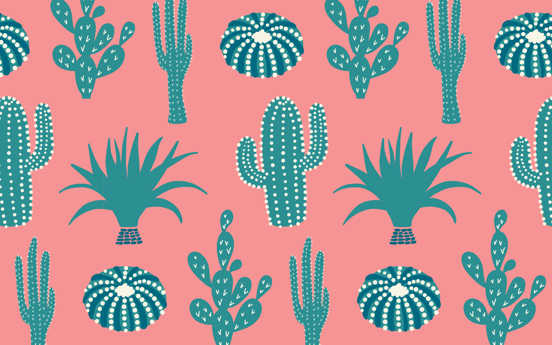 Pink Cactus Wallpapers