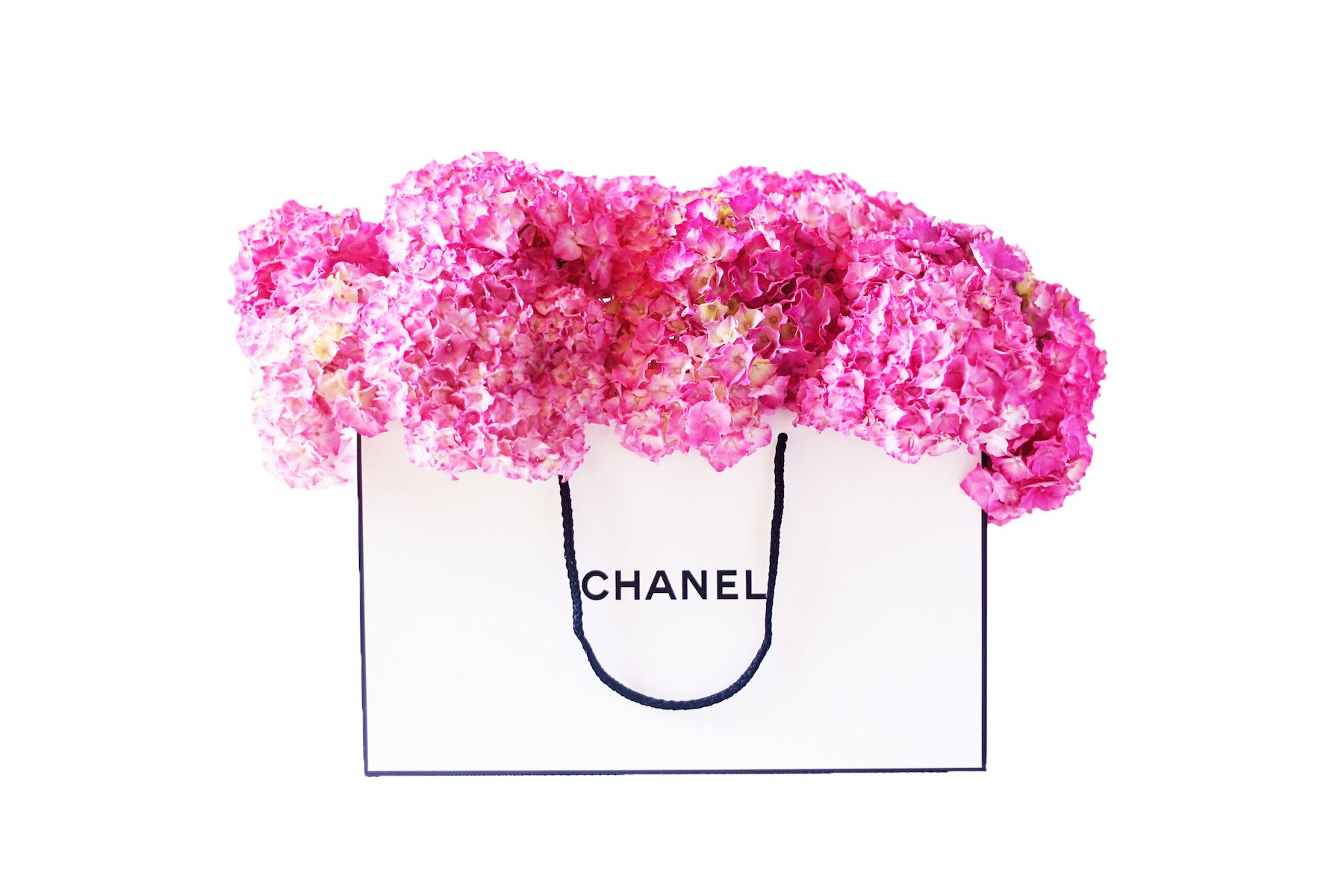 Pink Chanel Logo Wallpapers