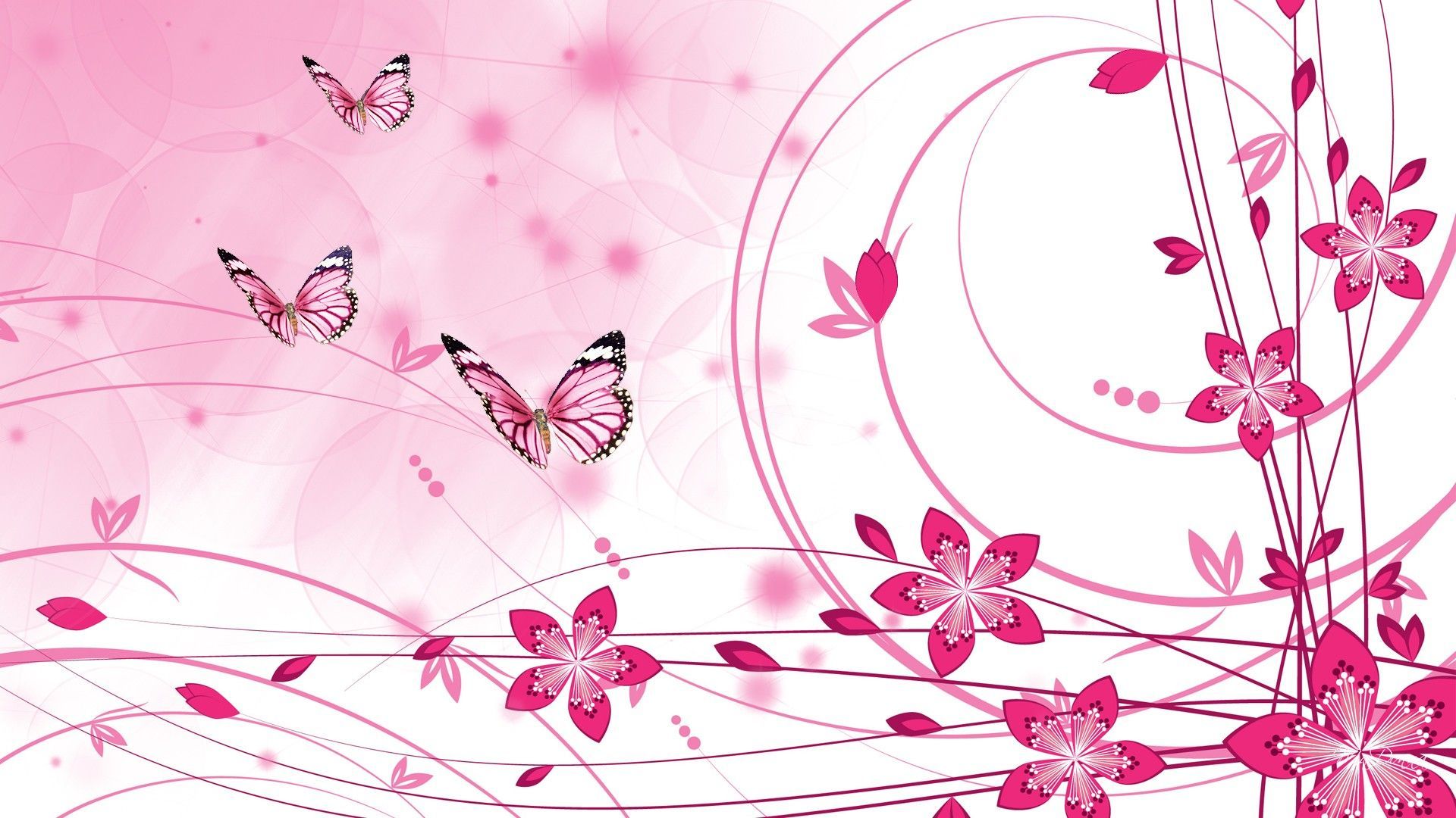 Pink Color Background