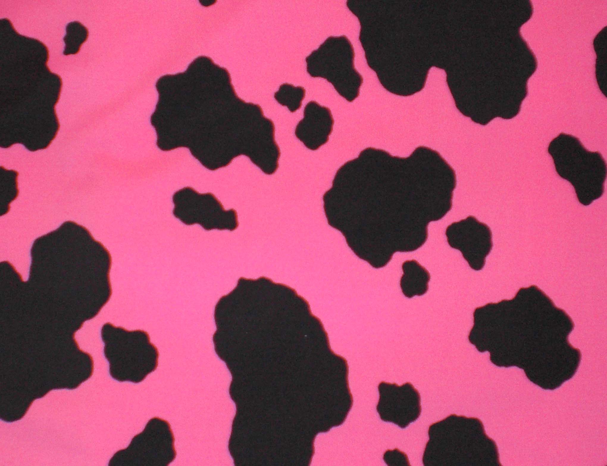 Pink Cow Print Wallpapers