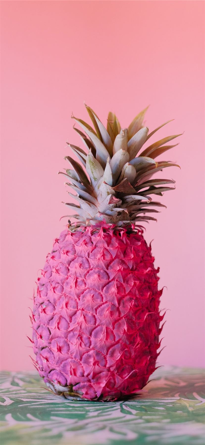 Pink Cute Pineapple Iphone Wallpapers