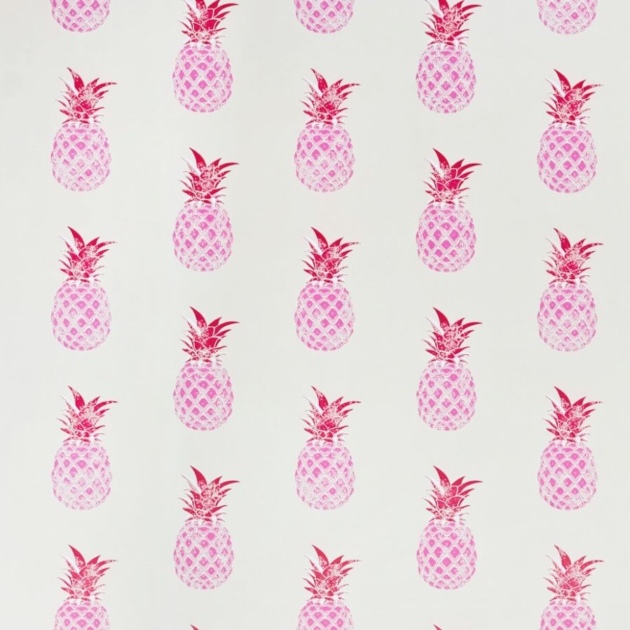 Pink Cute Pineapple Iphone Wallpapers