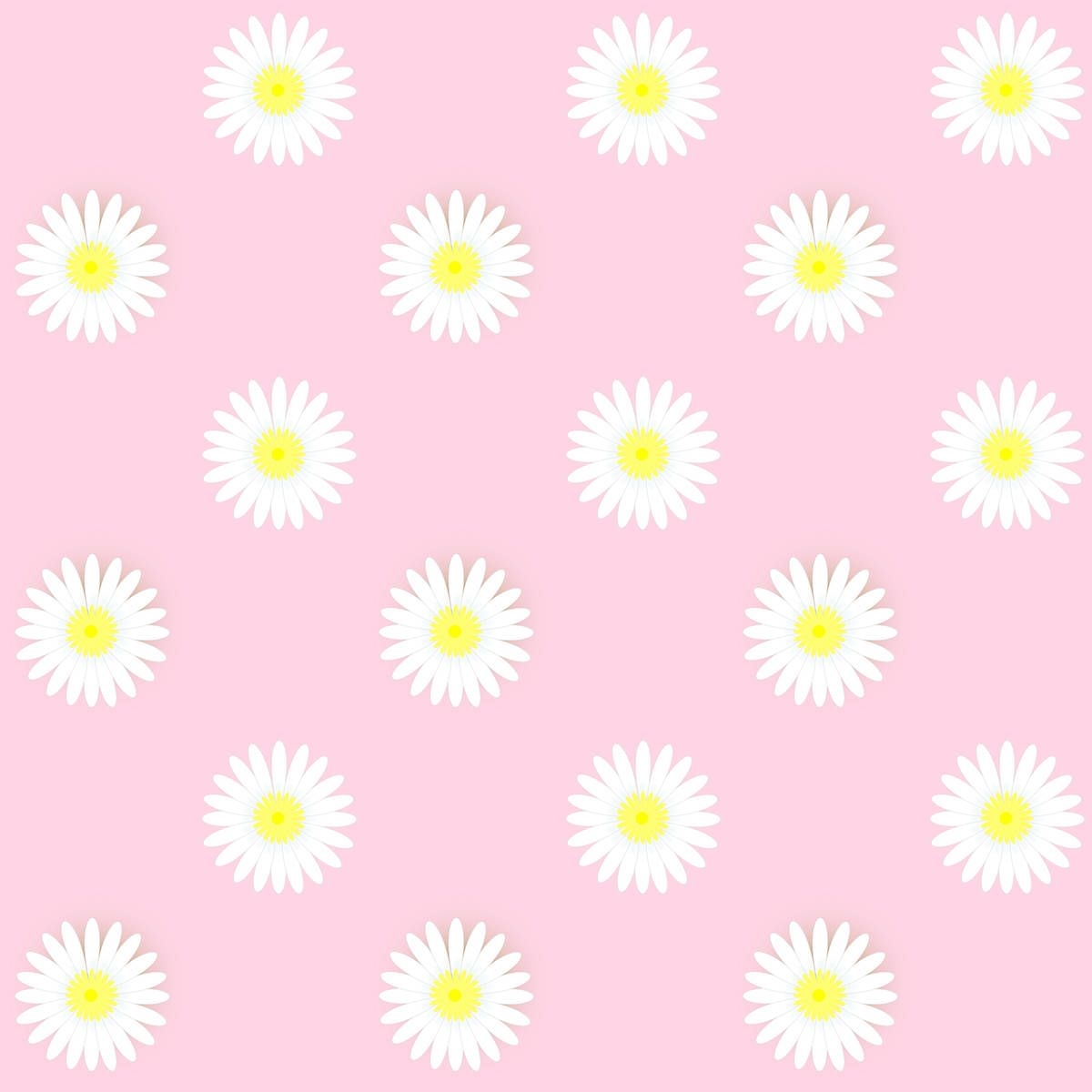 Pink Daisy Wallpapers
