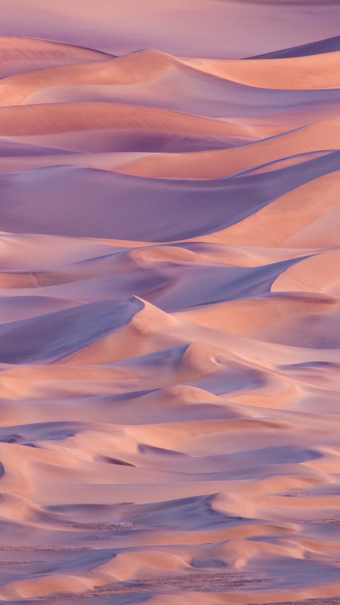 Pink Desert Wallpapers