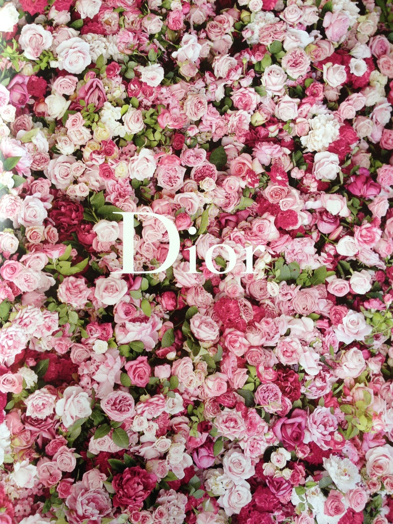 Pink Dior Wallpapers