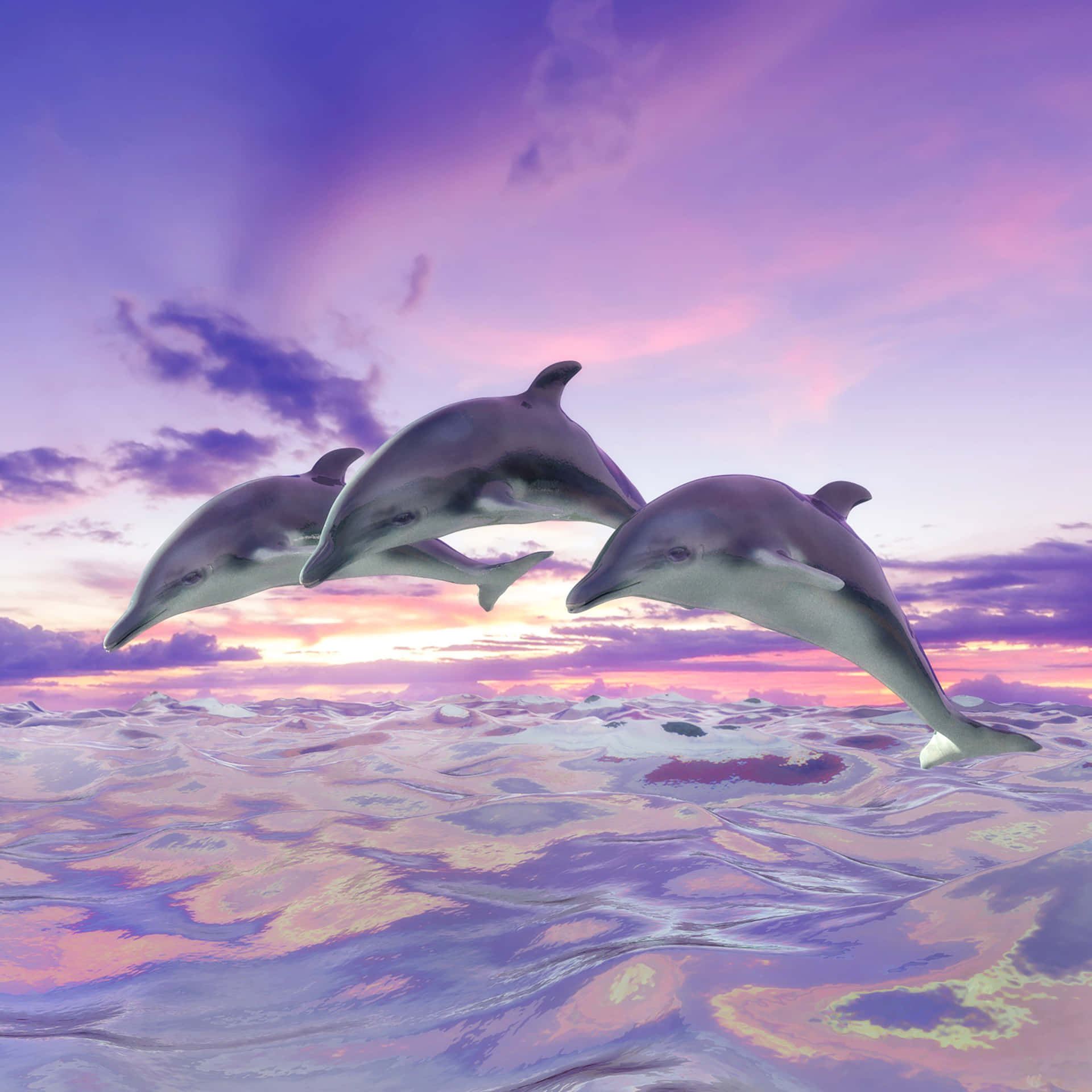 Pink Dolphins Wallpapers