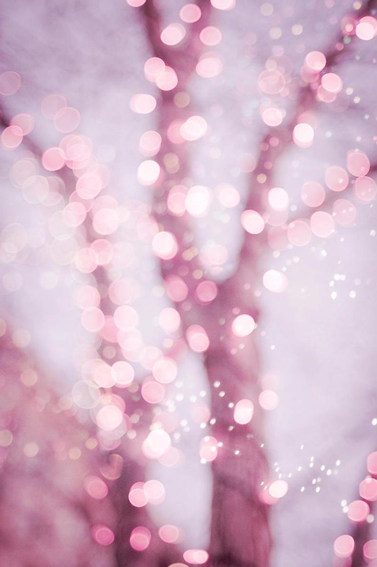 Pink Fairy Lights Wallpapers