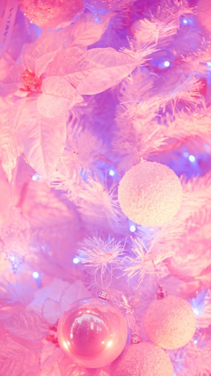 Pink Fairy Lights Wallpapers