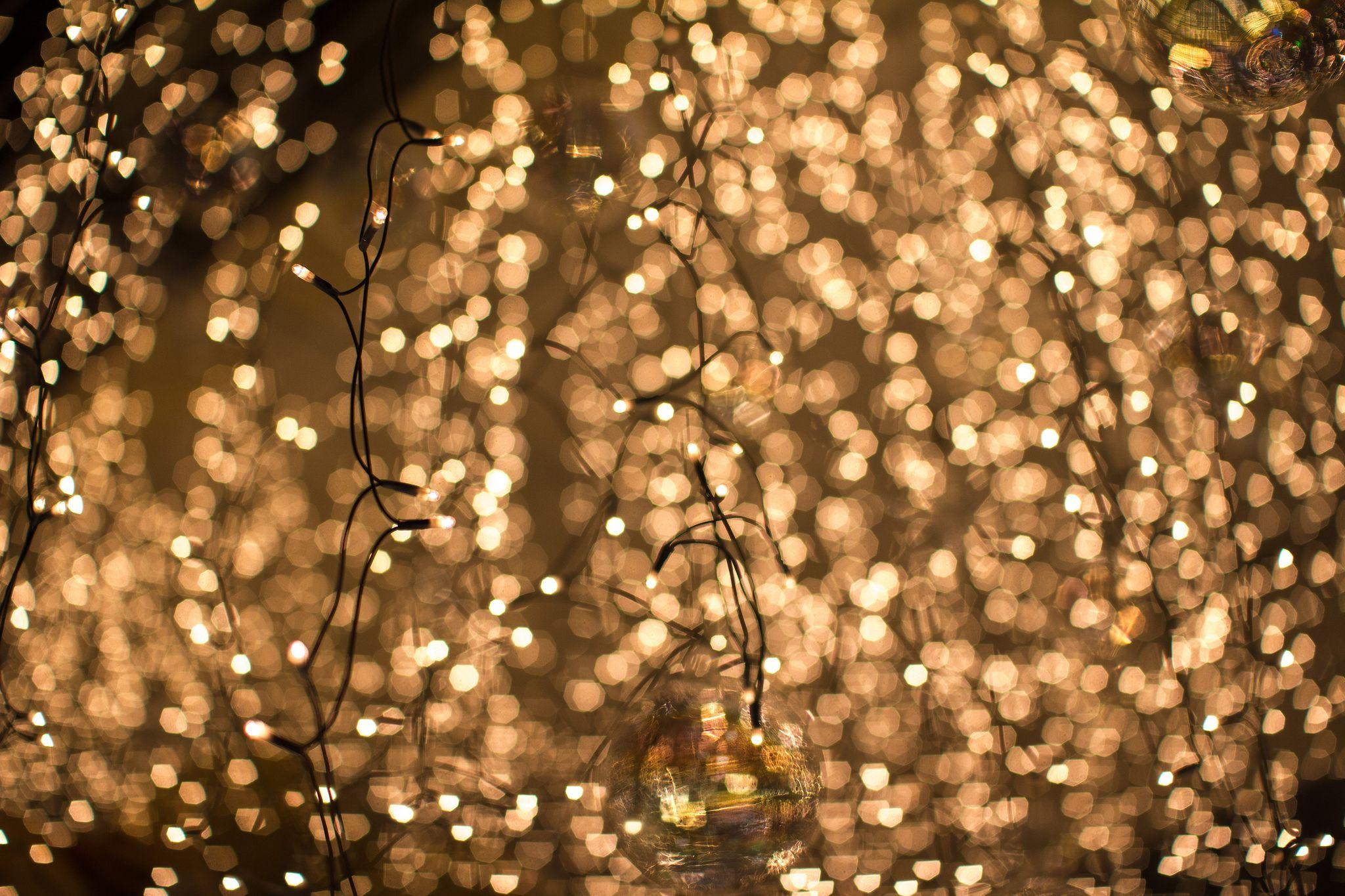 Pink Fairy Lights Wallpapers