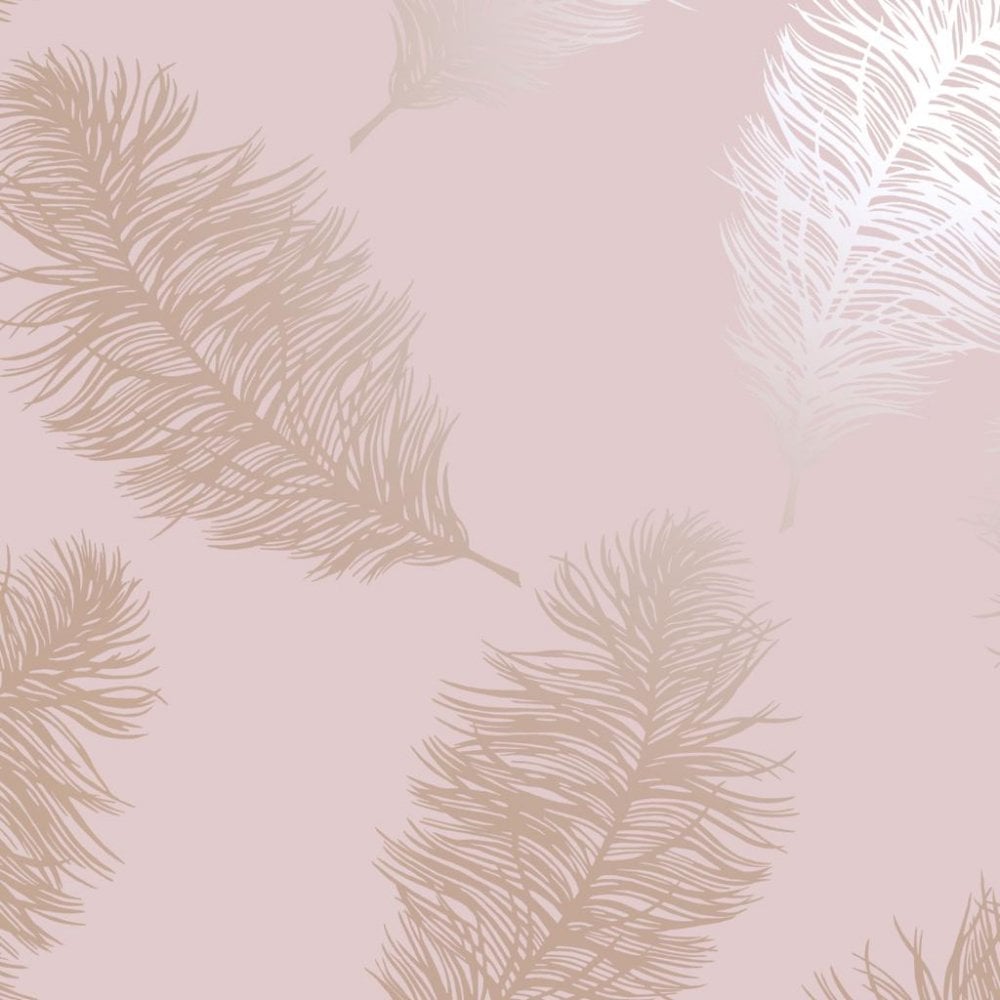 Pink Feathers Wallpapers