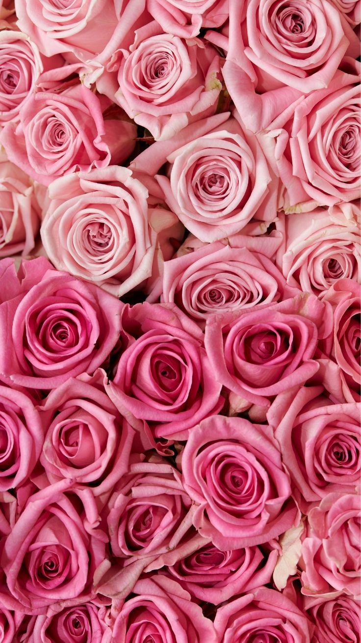 Pink Floral Iphone Wallpapers