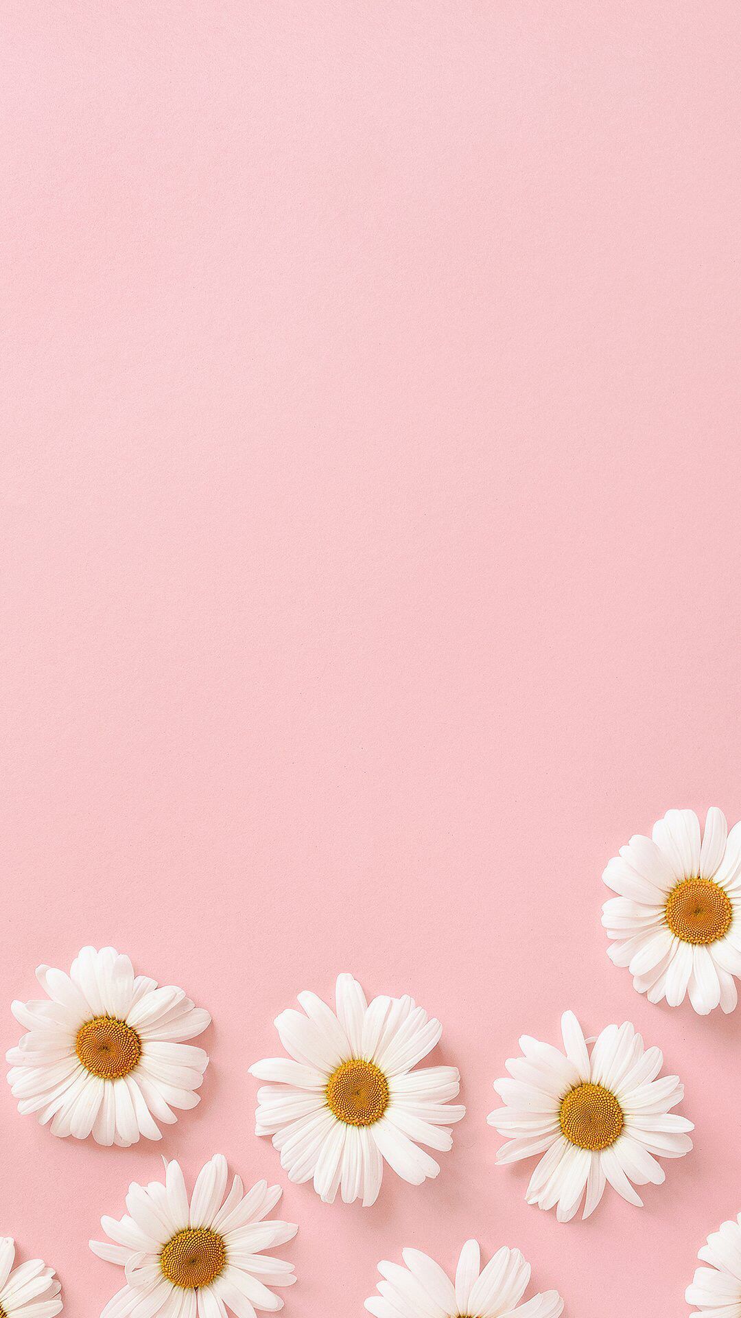 Pink Floral Wallpapers