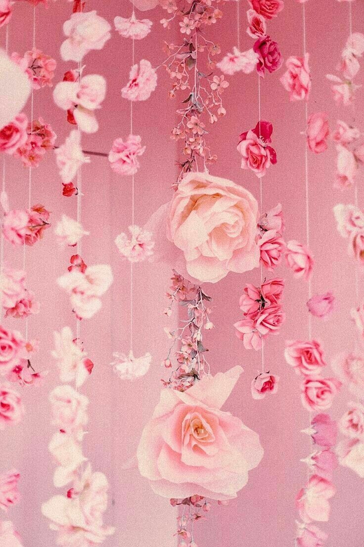 Pink Flowers Aesthetic Wallpapers