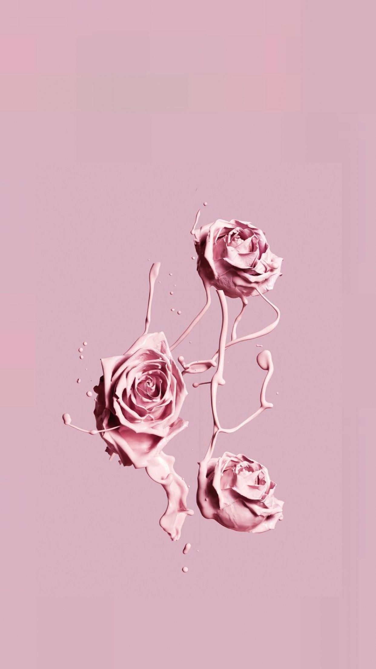 Pink Flowers Aesthetic Wallpapers