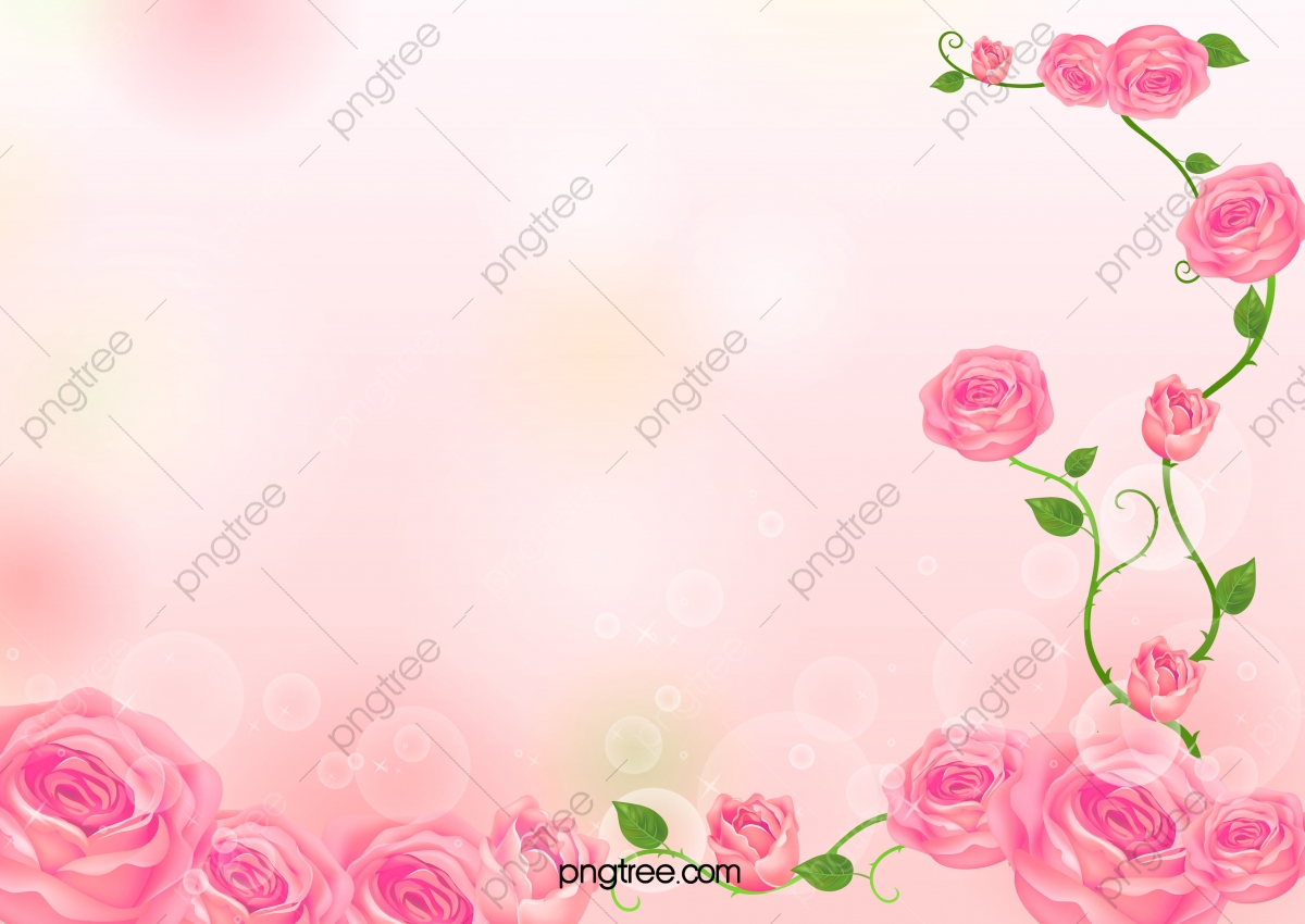 Pink Flowers Hd Wallpapers