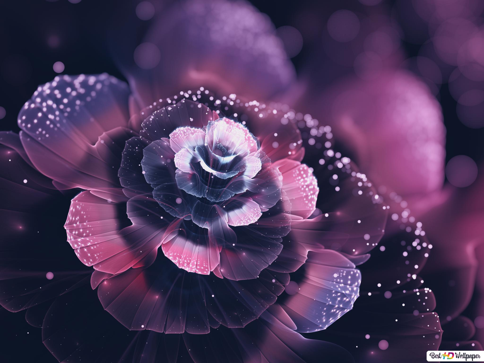 Pink Flowers Hd Wallpapers