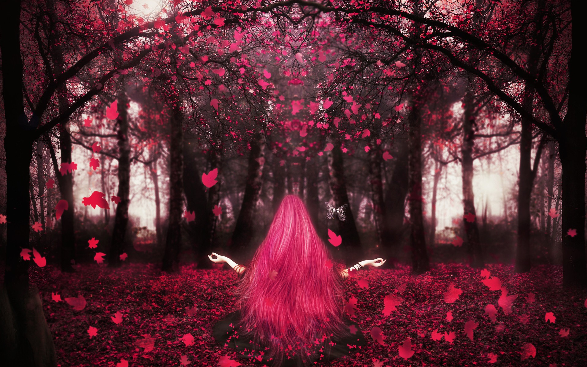 Pink Forest Wallpapers