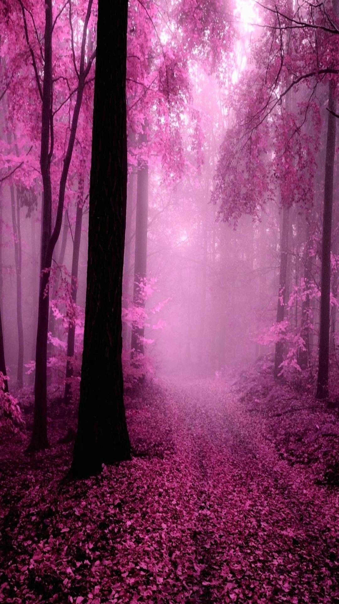 Pink Forest Wallpapers