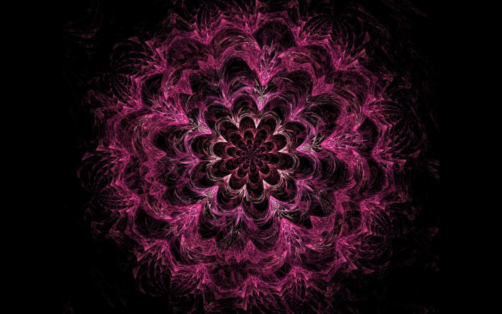 Pink Fractal On A Black Background