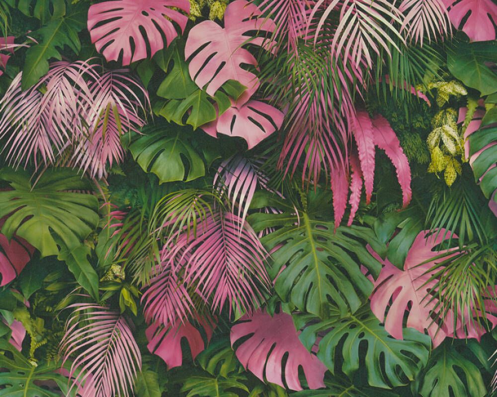 Pink Green Wallpapers