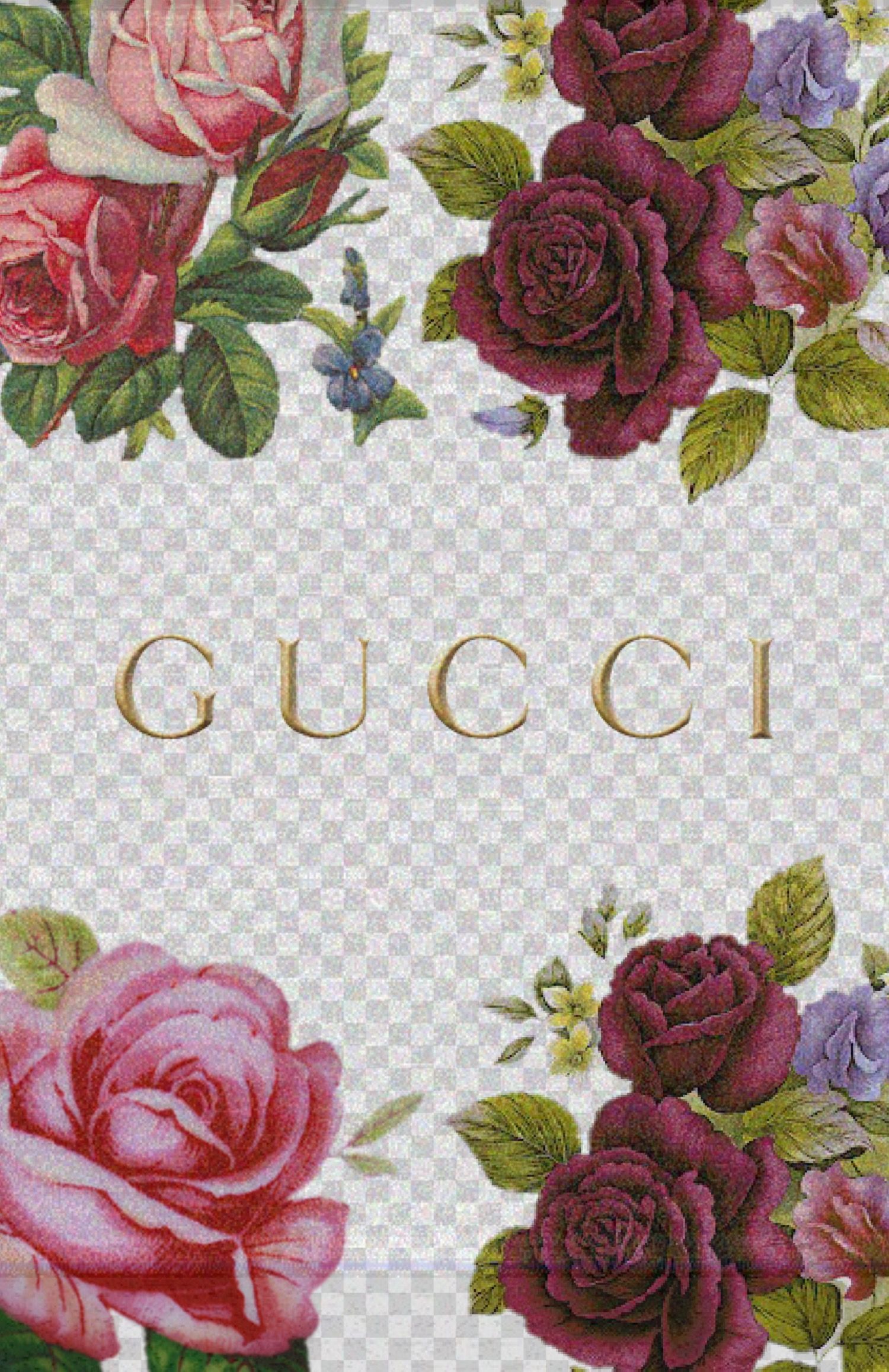 Pink Gucci Wallpapers