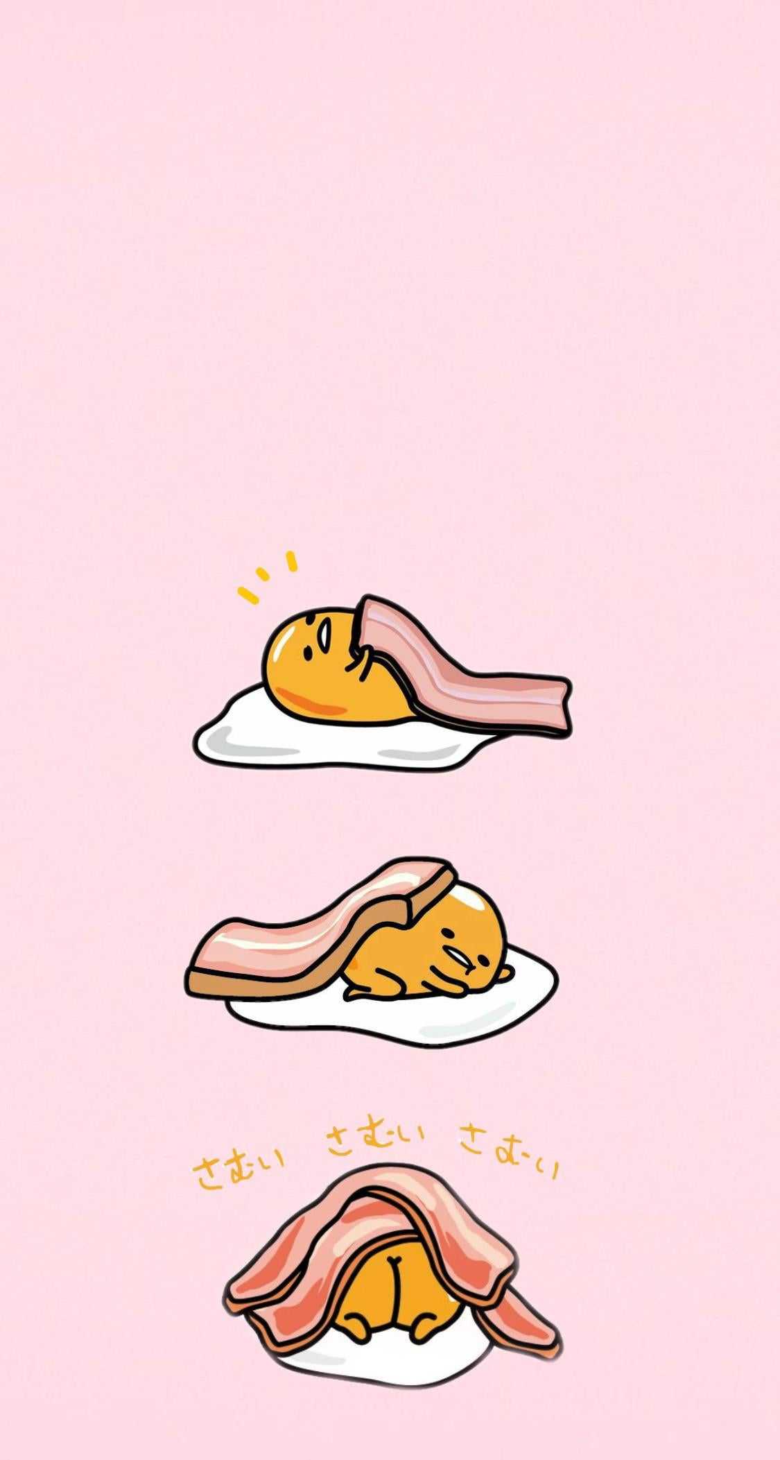 Pink Gudetama Wallpapers