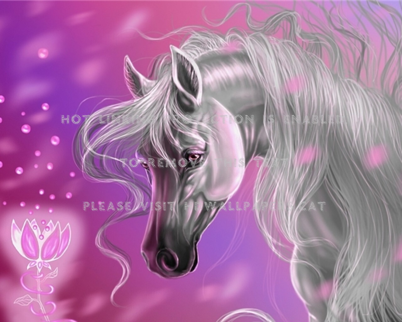 Pink Horse Wallpapers
