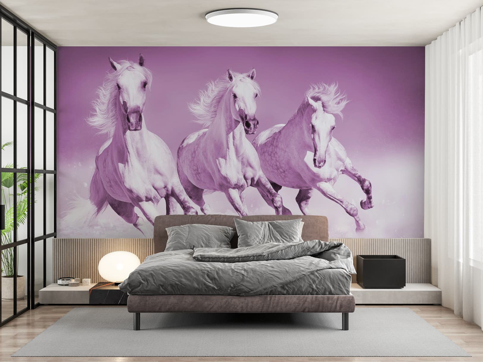 Pink Horse Wallpapers