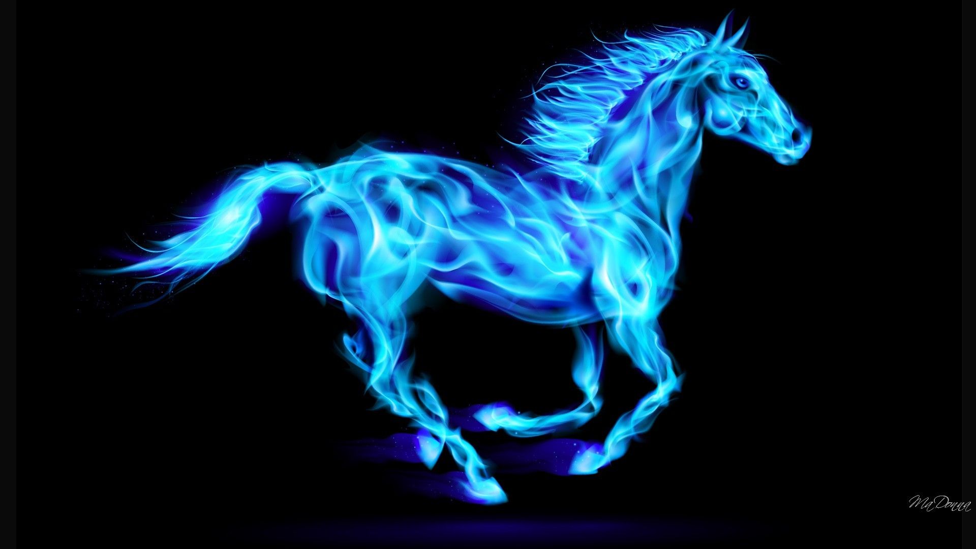 Pink Horse Wallpapers