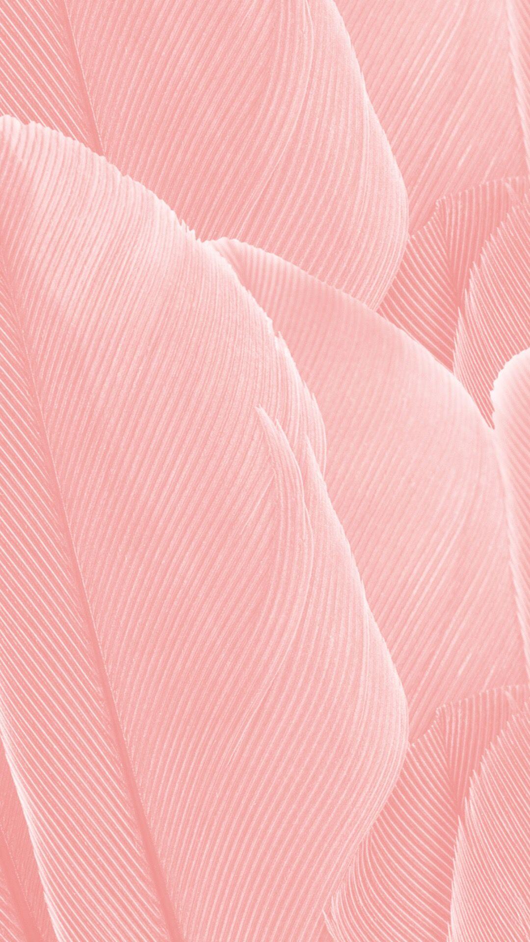 Pink Iphone Wallpapers