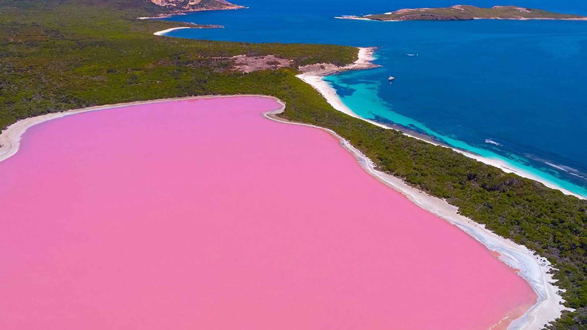 Pink Lake 8K Wallpapers