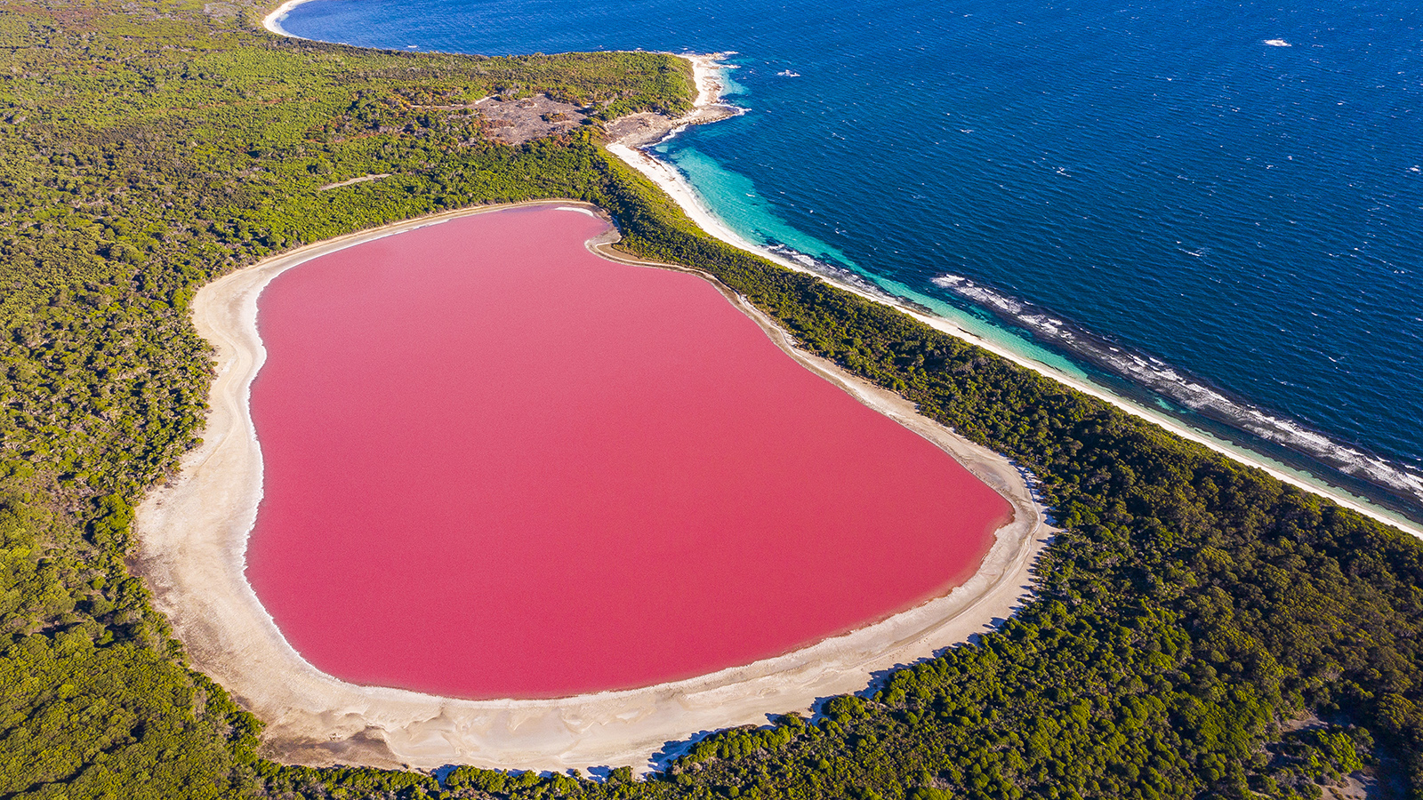 Pink Lake 8K Wallpapers