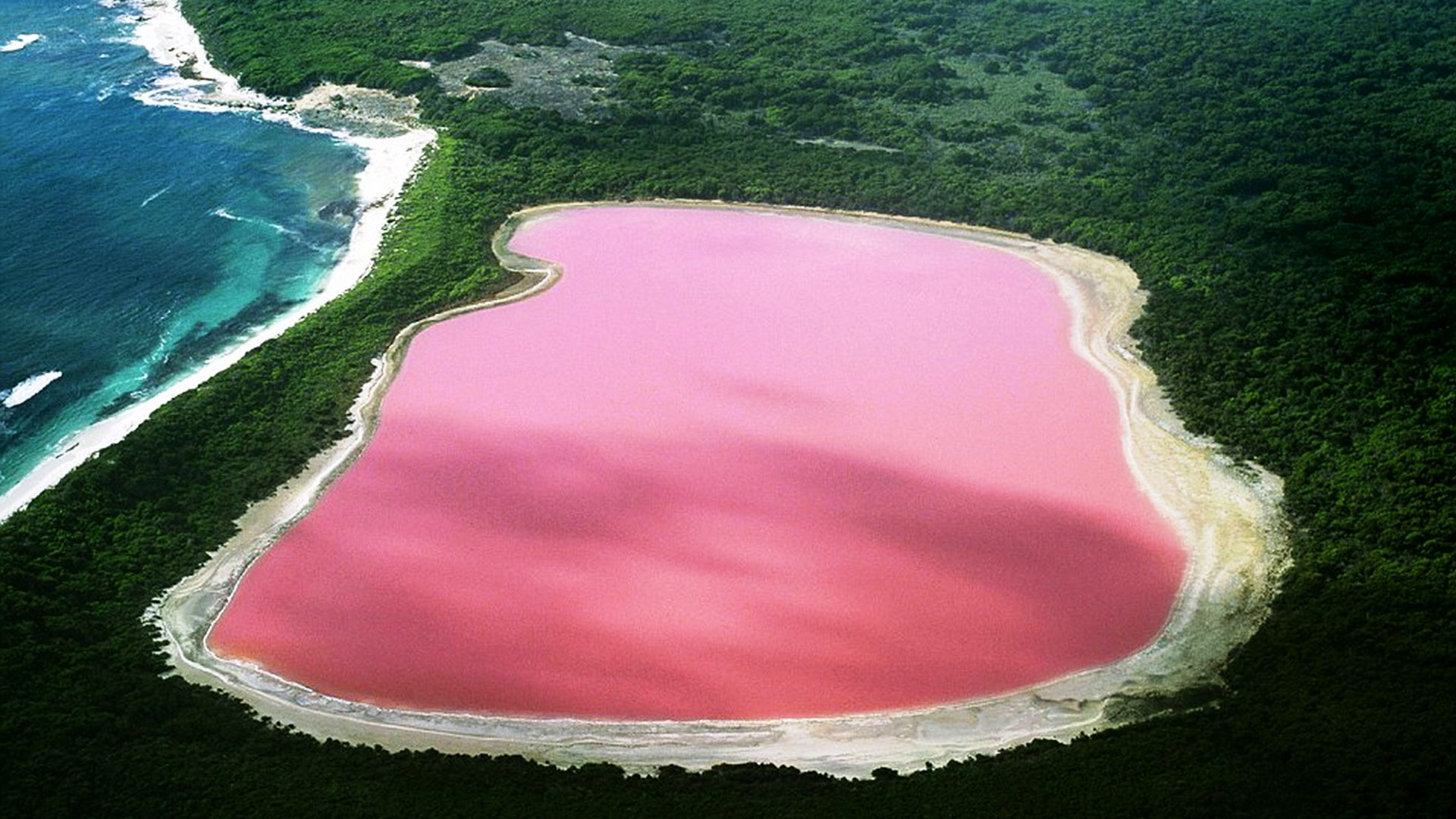 Pink Lake 8K Wallpapers