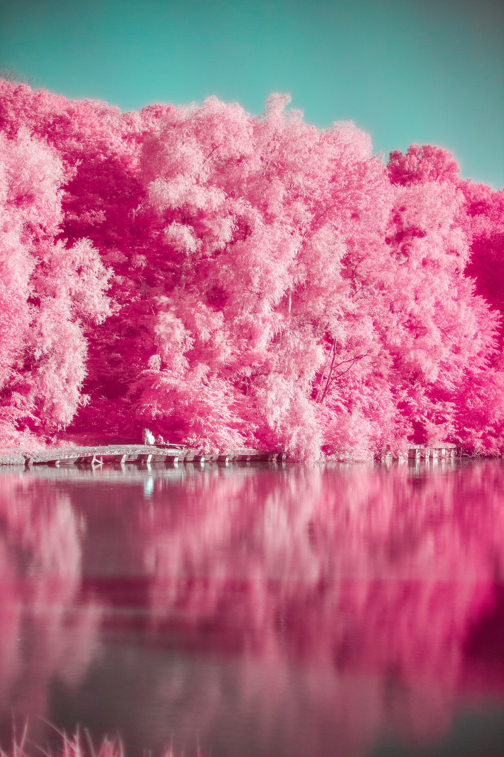 Pink Lake 8K Wallpapers