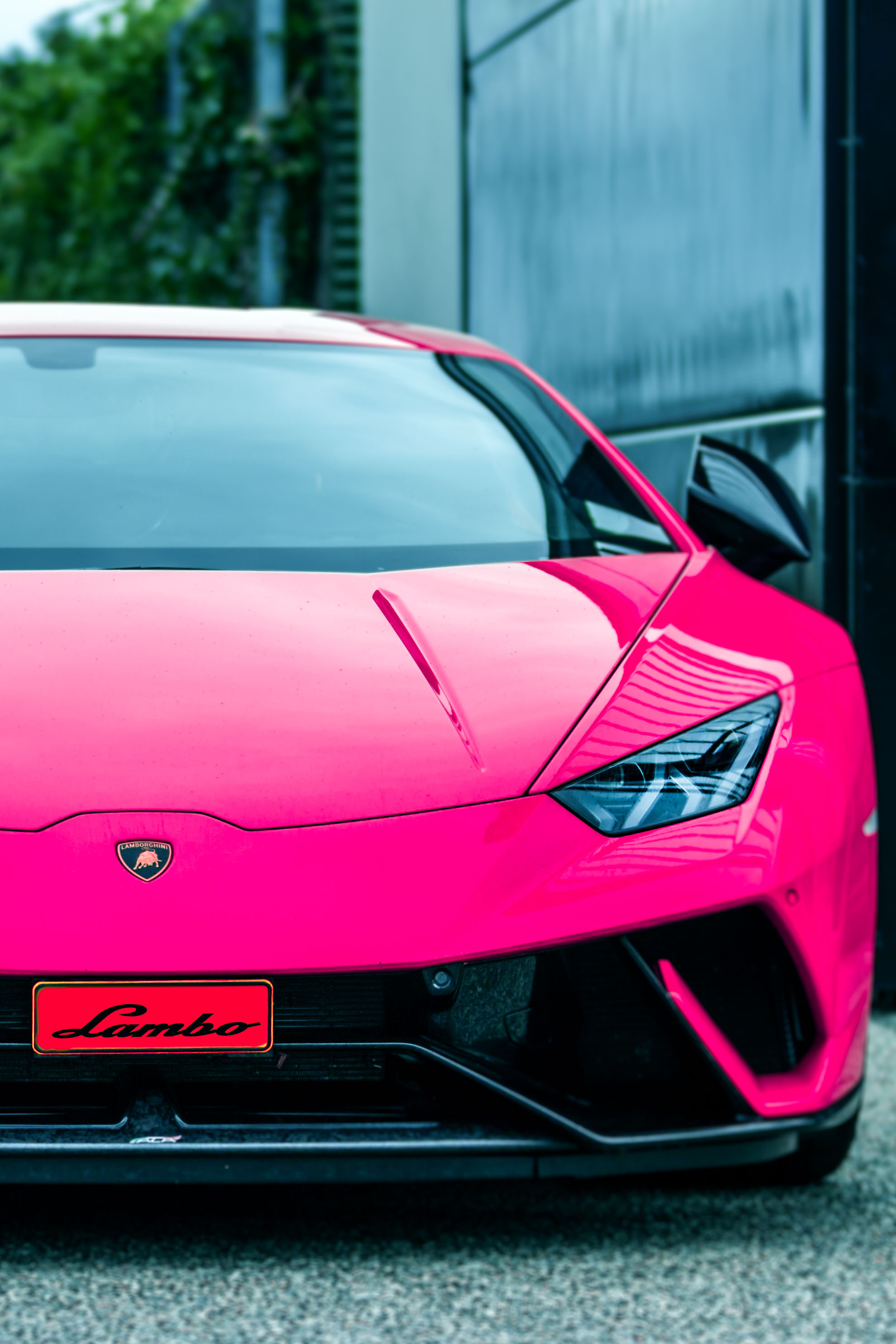 Pink Lamborghini Wallpapers