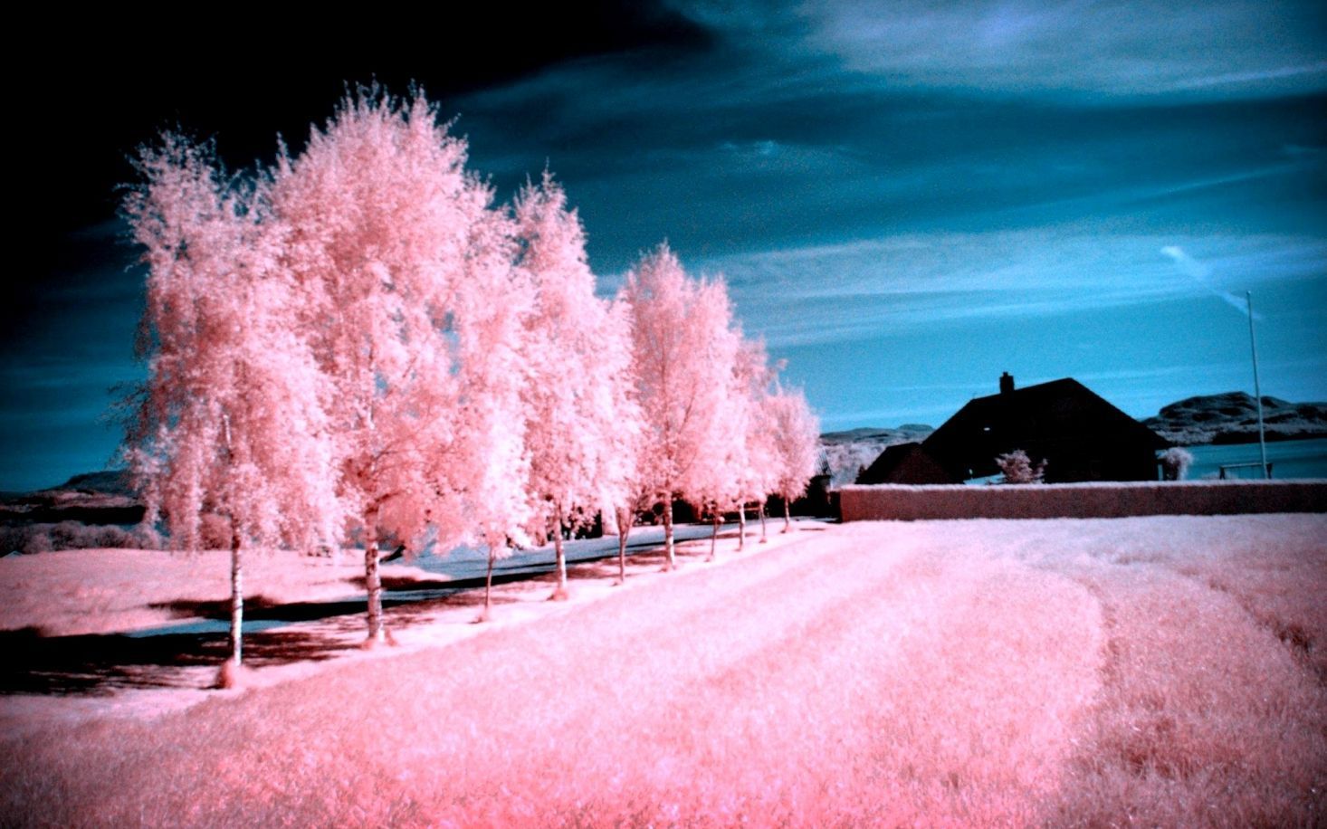 Pink Landscape Wallpapers