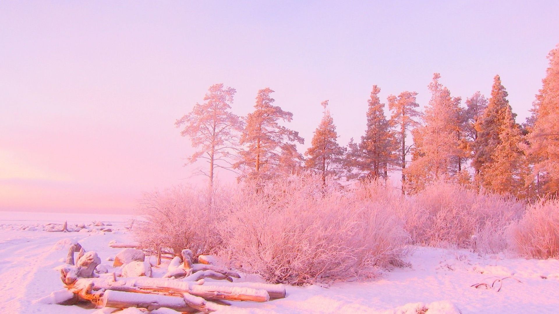 Pink Landscape Wallpapers