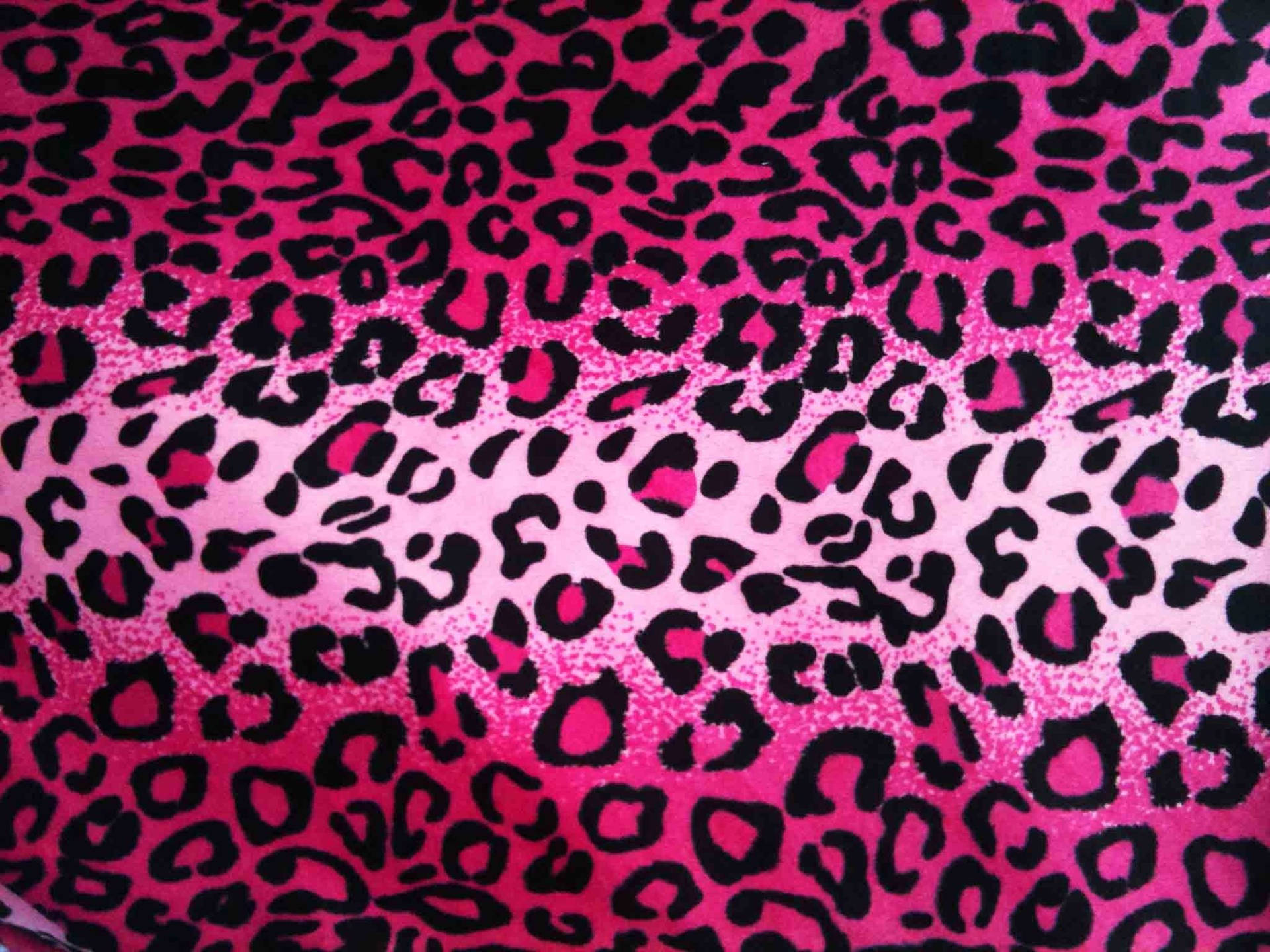 Pink Leopard Fur Wallpapers