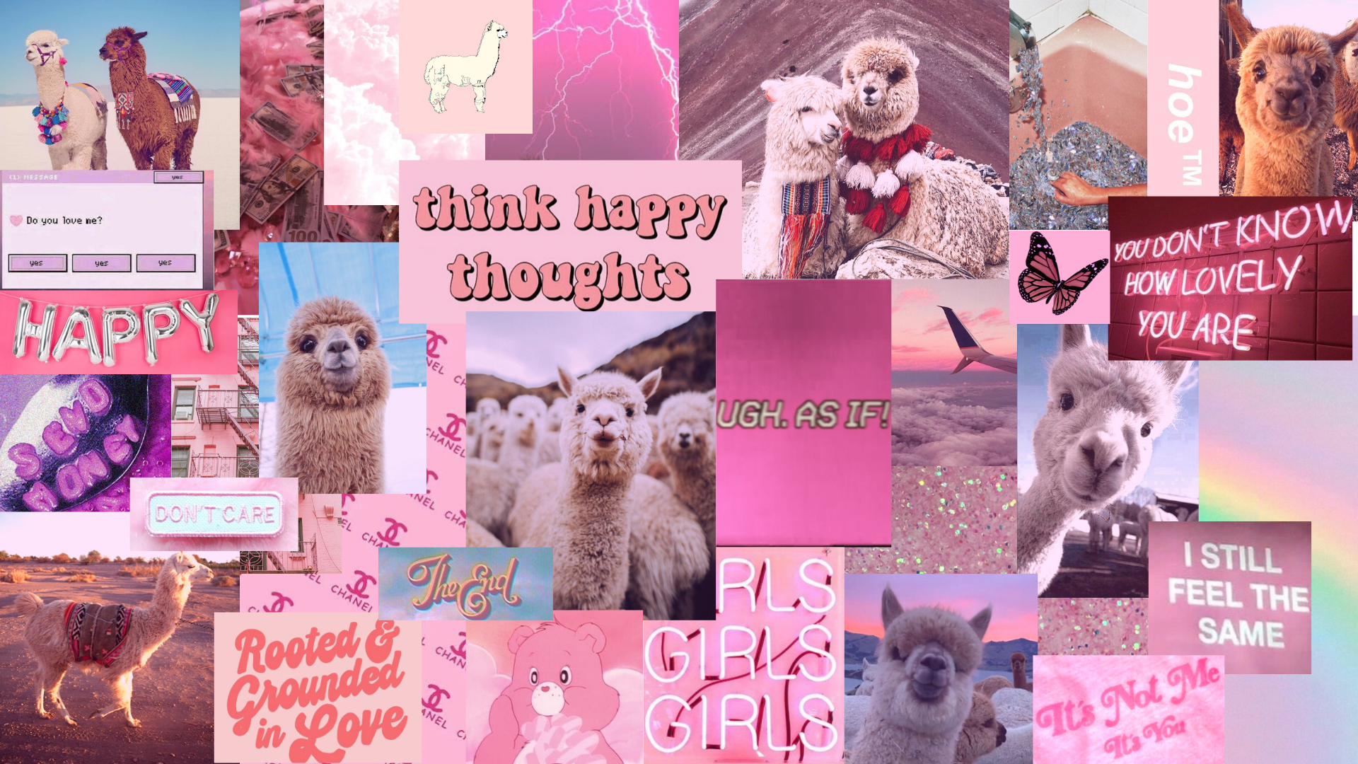 Pink Llama Wallpapers