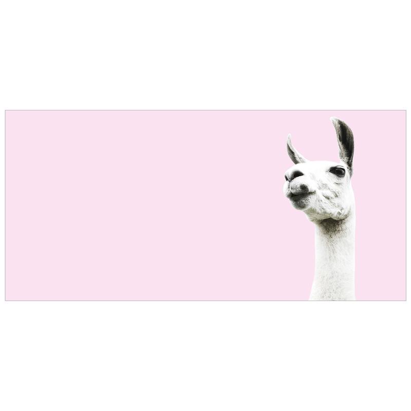 Pink Llama Wallpapers