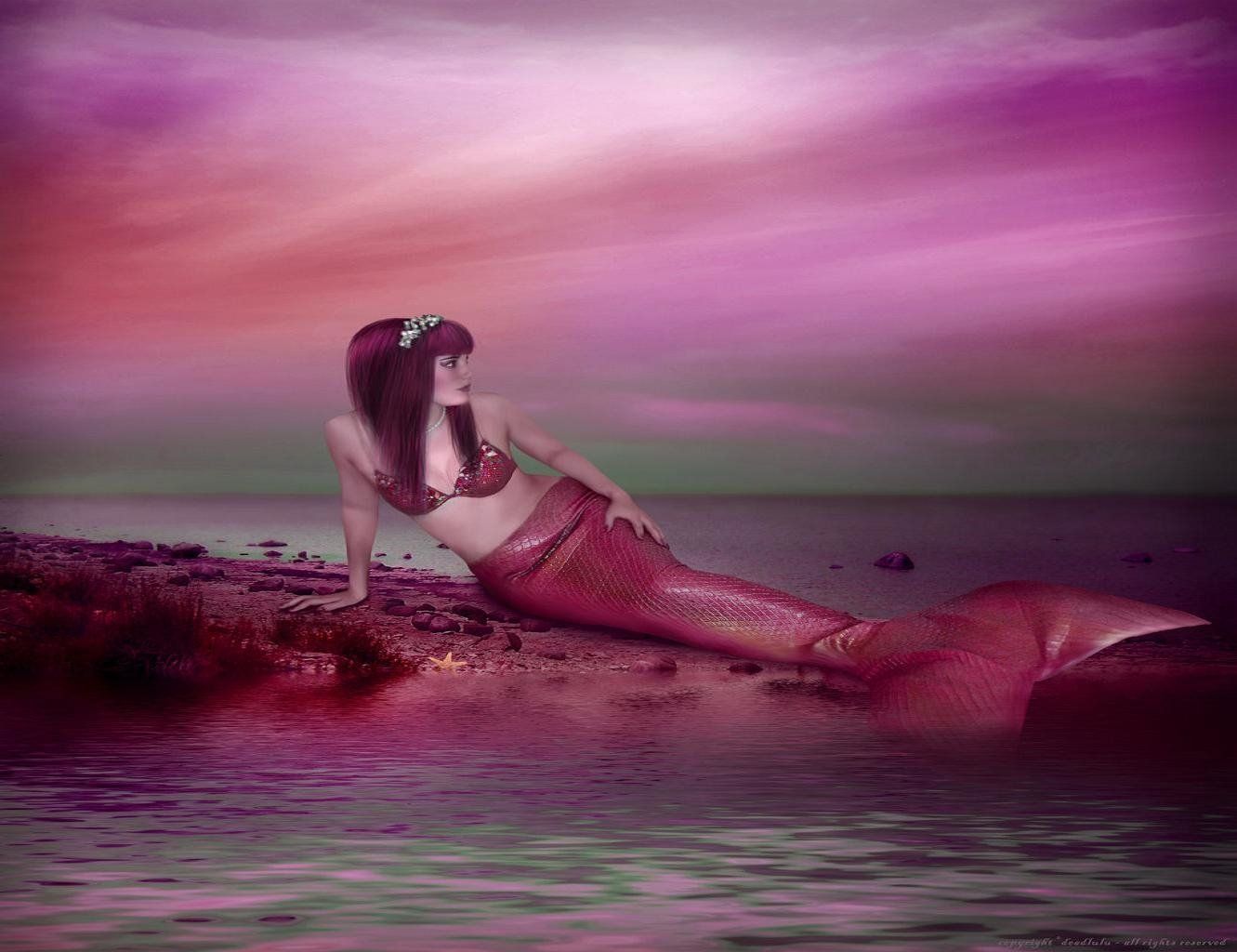 Pink Mermaid Wallpapers