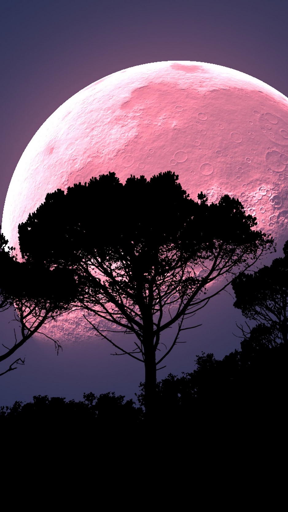 Pink Moon 2018 Wallpapers