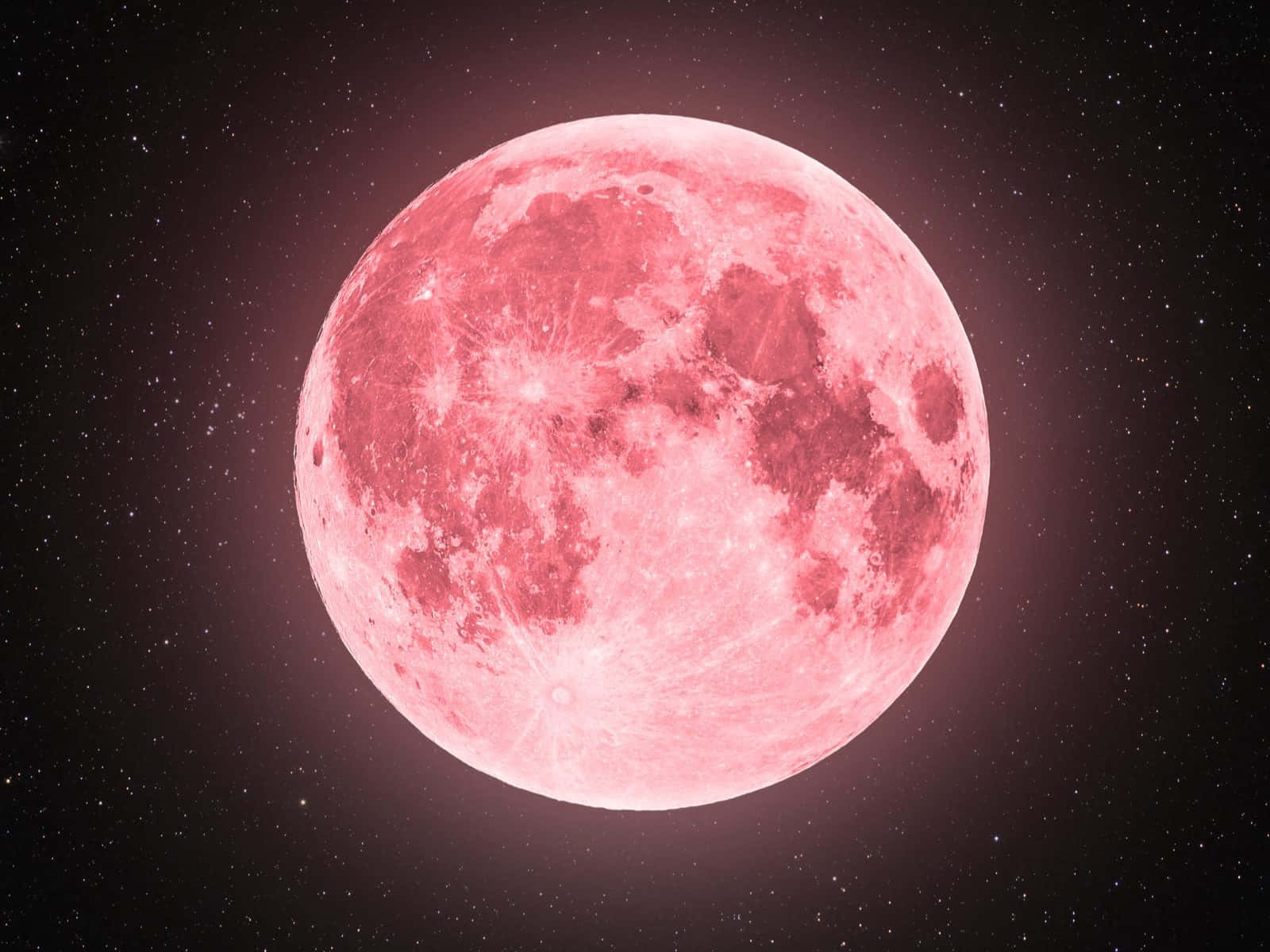 Pink Moon Wallpapers