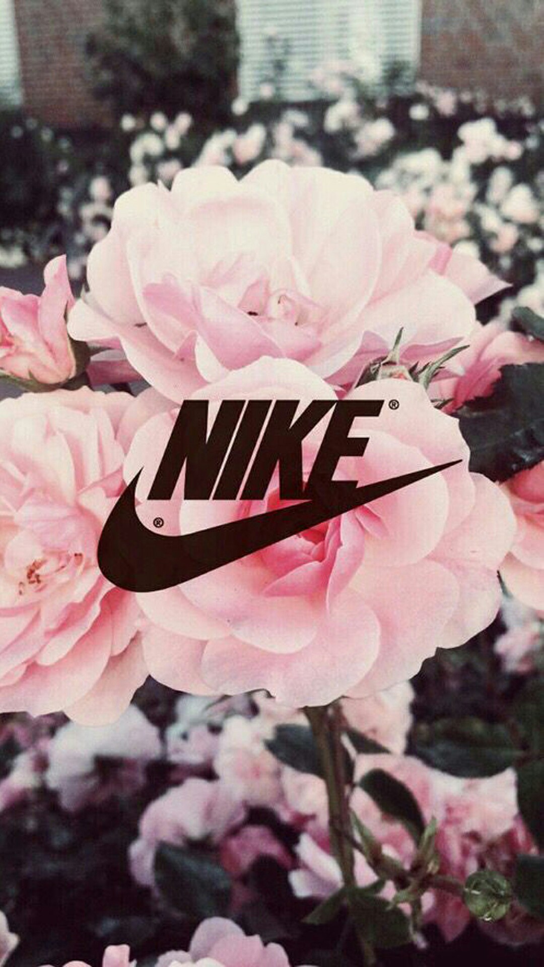 Pink Nike Wallpapers