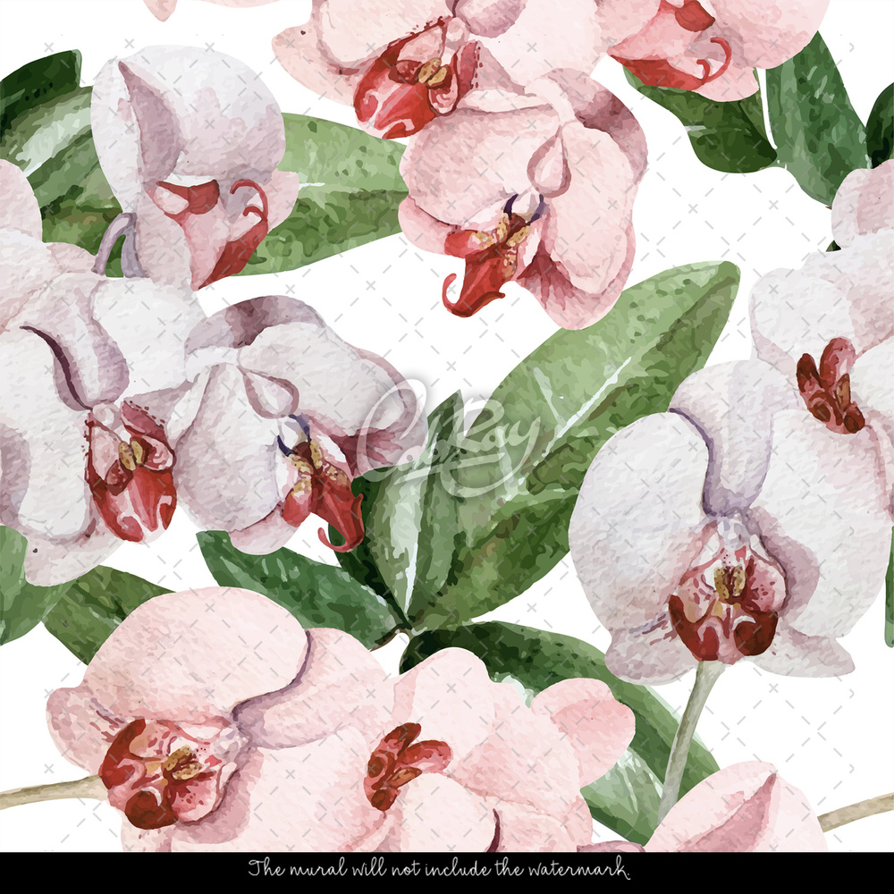 Pink Orchid Wallpapers