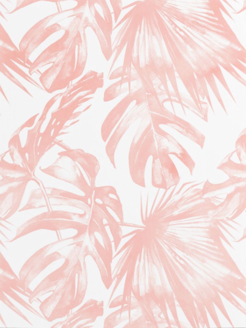 Pink Palm Leaf Wallpapers