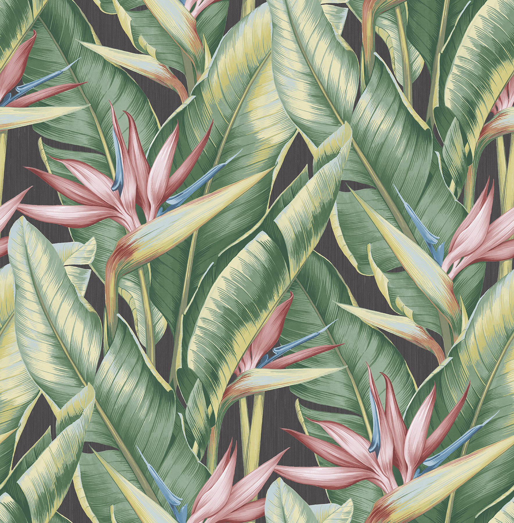 Pink Palm Leaf Wallpapers