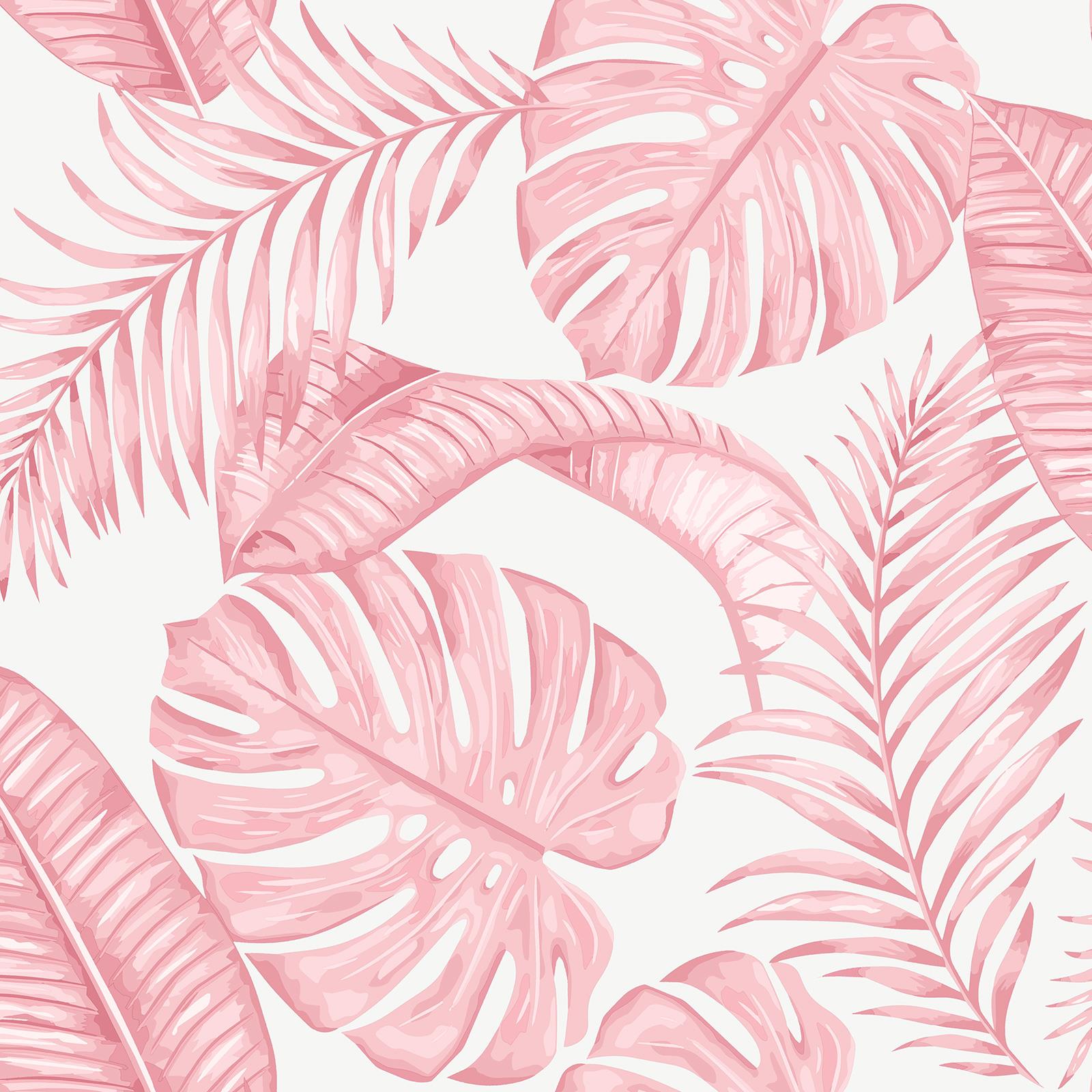 Pink Palm Leaf Wallpapers