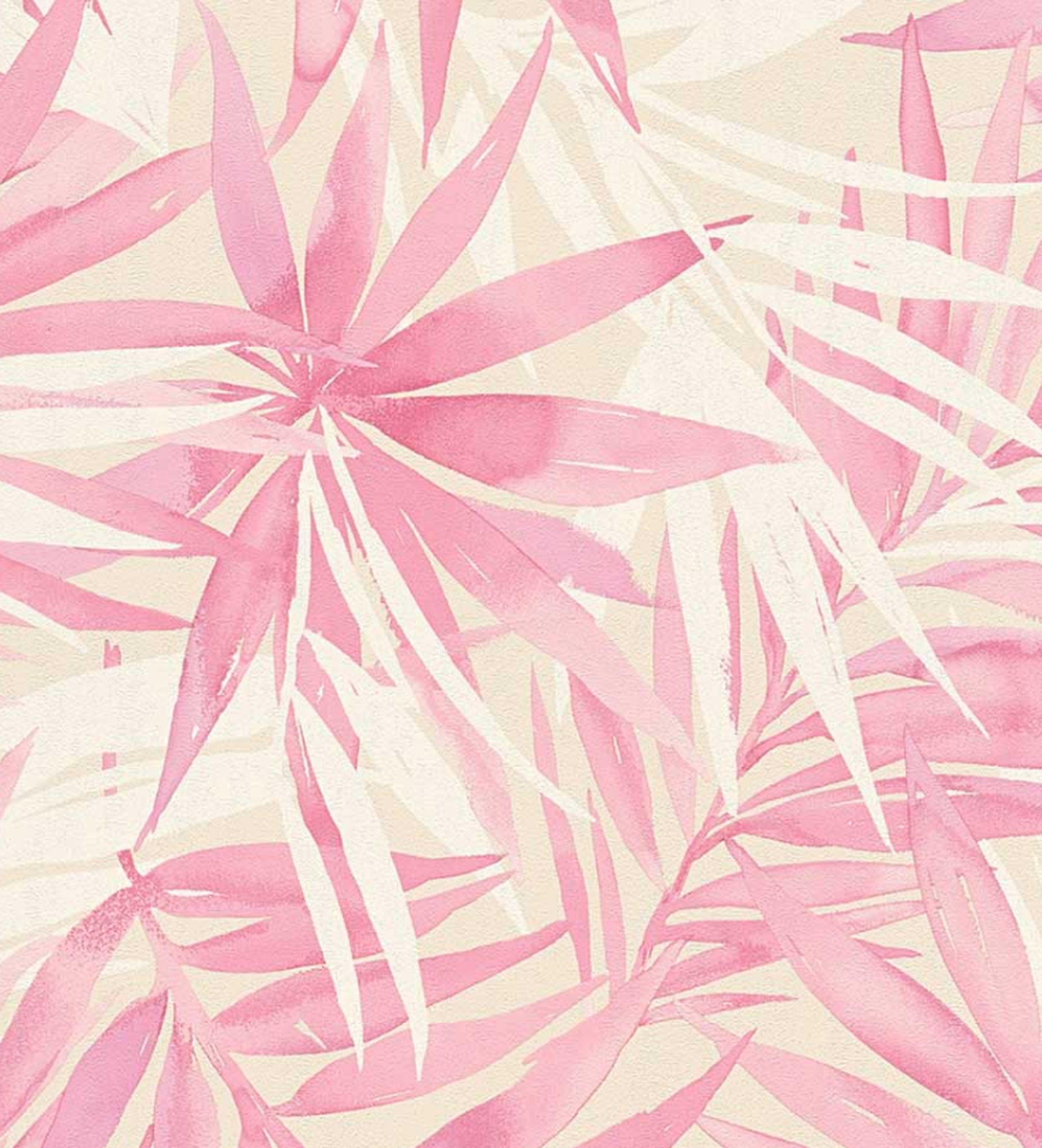 Pink Palm Leaf Wallpapers