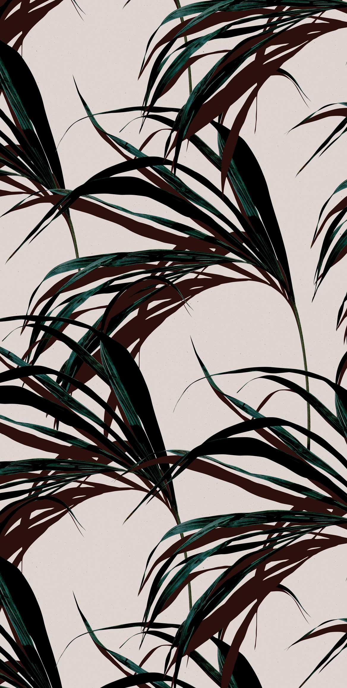 Pink Palm Leaf Wallpapers